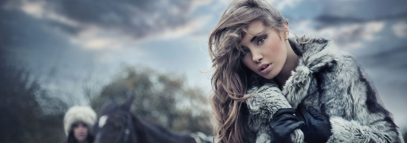 免费下载的ddos网页端